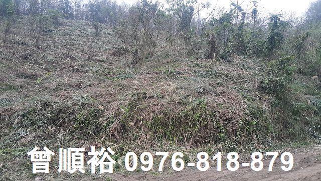 尖石農地-4