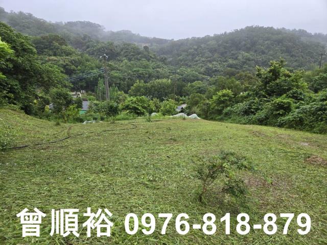 新竹農地-1
