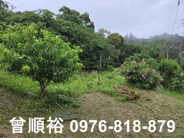 新竹農地-6
