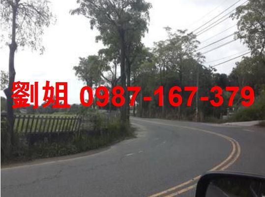 大社農地-1