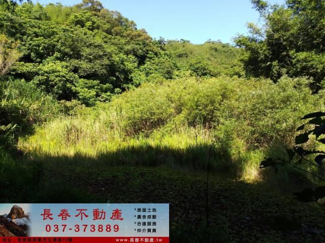 頭屋農地-2