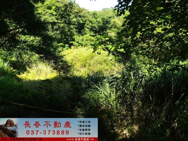 頭屋農地-3