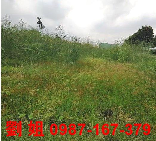 大寮農地-1