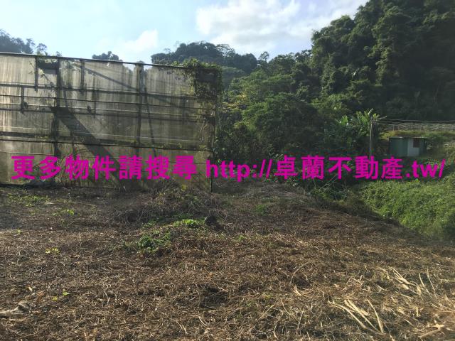 苗栗大湖農地-3