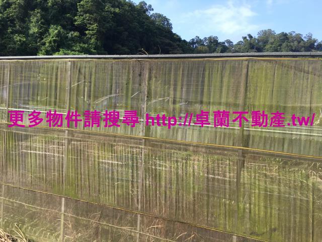 苗栗大湖農地-5