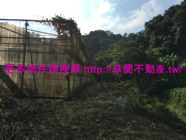 苗栗大湖農地-7