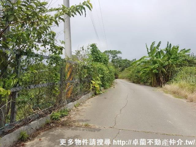 苗栗大湖農地-7