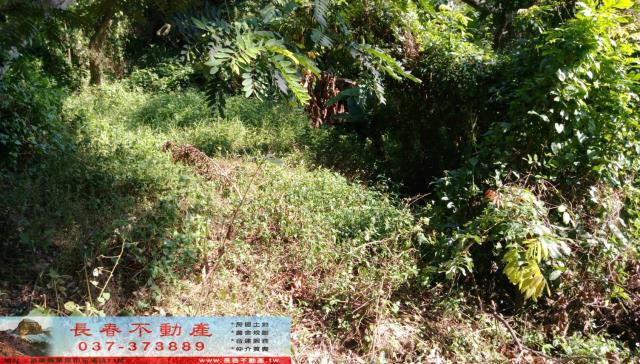 苗栗市農地-1