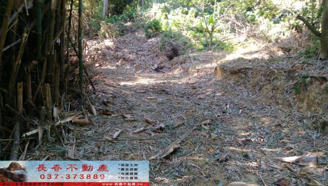 苗栗市農地-3