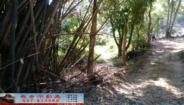 苗栗市農地-4