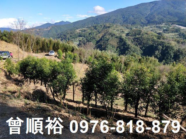 新竹五峰農地-10