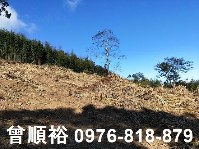 新竹五峰農地-6