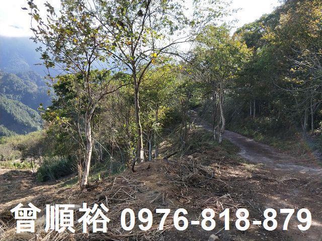 新竹五峰農地-7