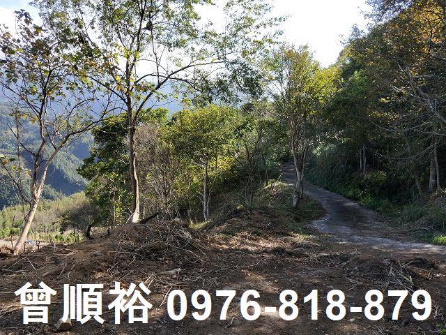 新竹五峰農地-8