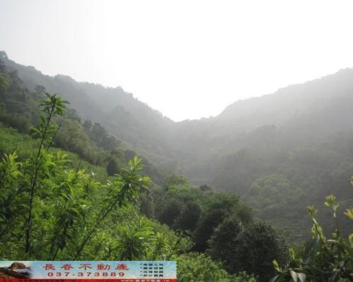 苗栗農地-1