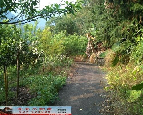 苗栗農地-2