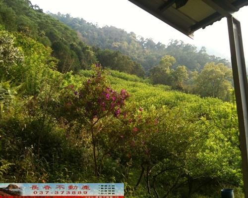 苗栗農地-3