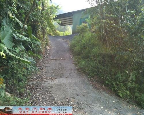 苗栗農地-5