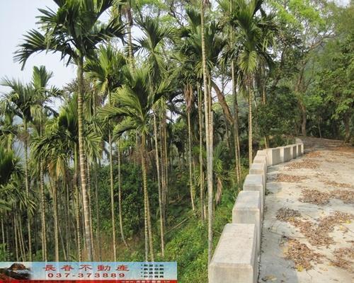 苗栗農地-8