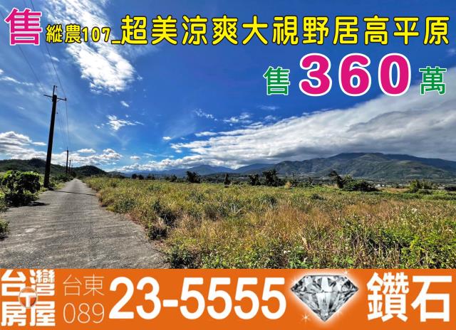 台東鹿野農地-1