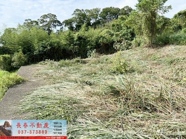 苗栗山坡地-4
