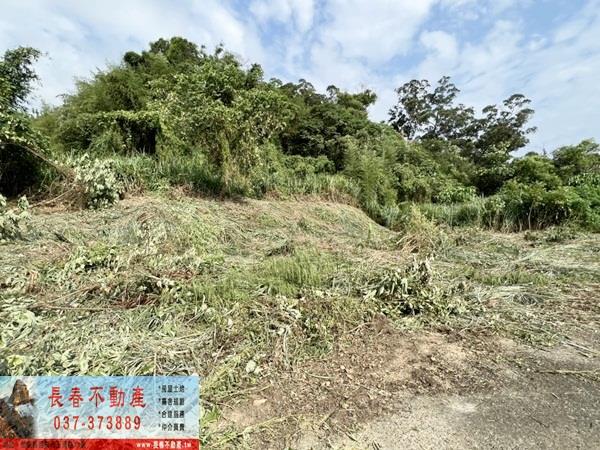 苗栗山坡地-5