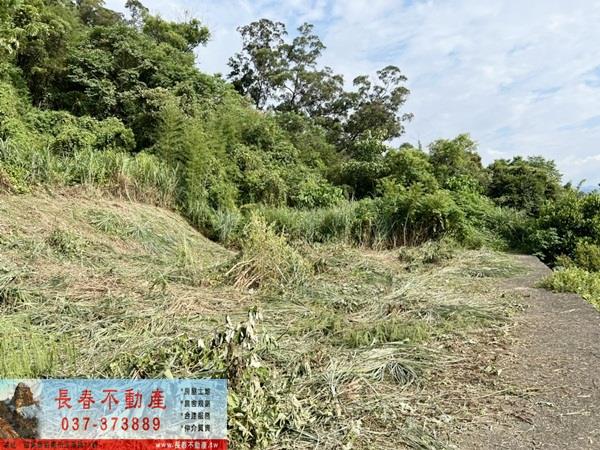 苗栗山坡地-1