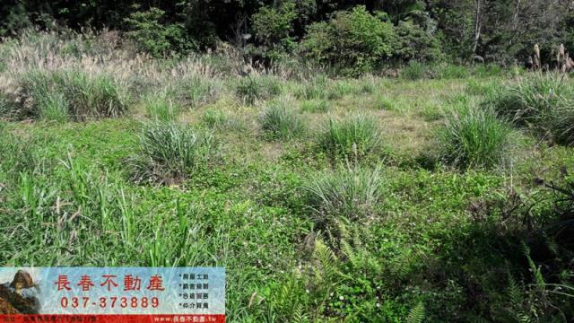 苗栗頭屋山坡地-1