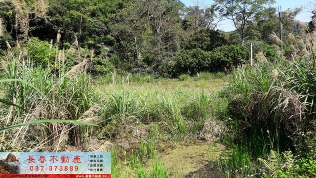 苗栗頭屋山坡地-3