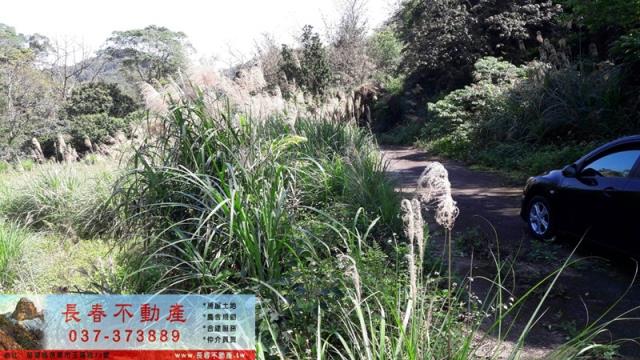 苗栗頭屋山坡地-4