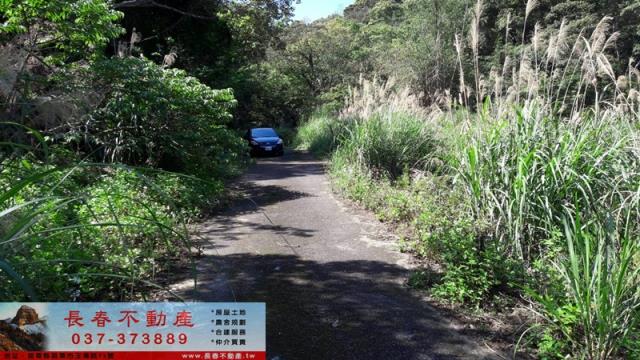 苗栗頭屋山坡地-5