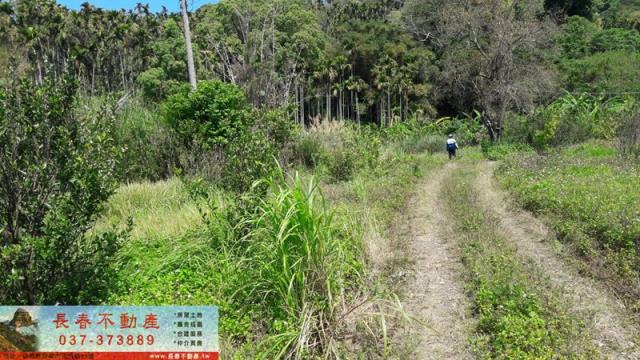 苗栗銅鑼山坡地-4