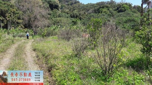 苗栗銅鑼山坡地-5
