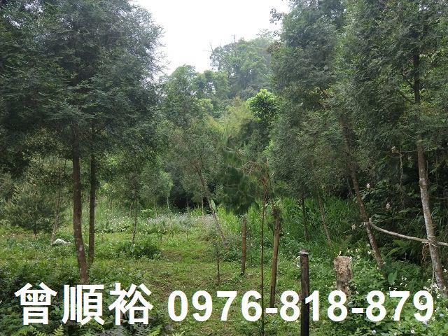 峨眉農地-1