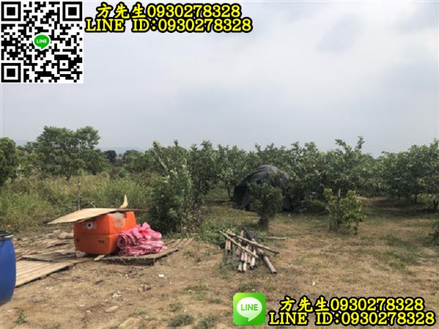 玉井農地-4