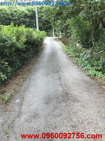苗栗農地-6