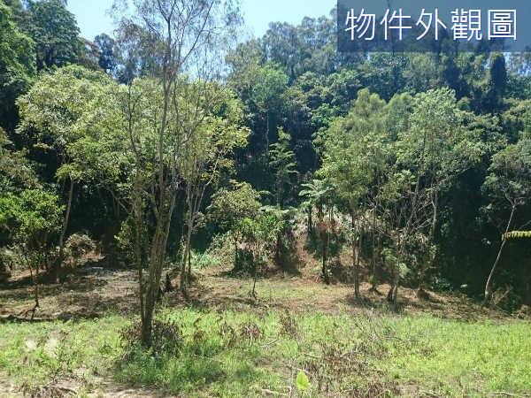 新竹休閒地-1