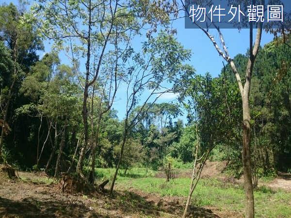 新竹休閒地-4
