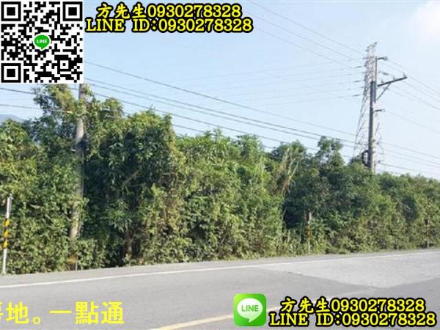新埤農地-4