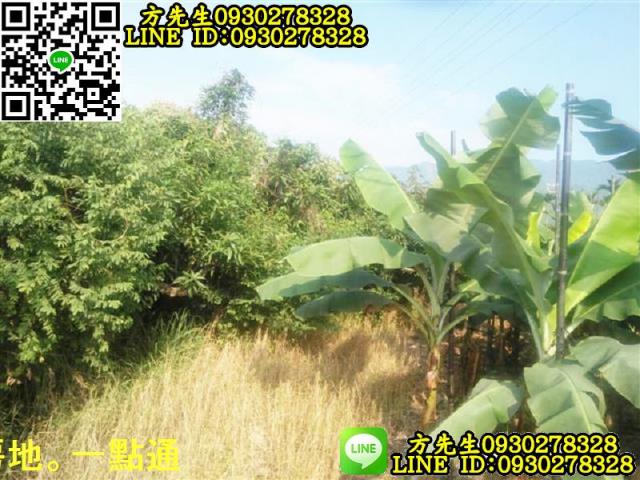 新埤農地-5