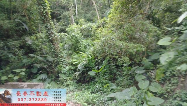 苗栗山坡地-1