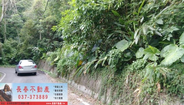 苗栗山坡地-3
