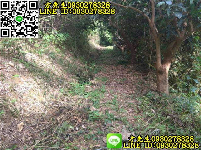 關廟農地-1