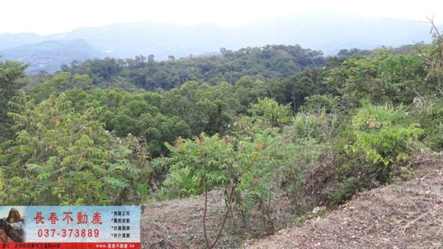 苗栗大湖農地-1