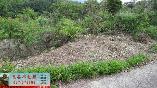 苗栗大湖農地-2