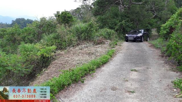 苗栗大湖農地-5