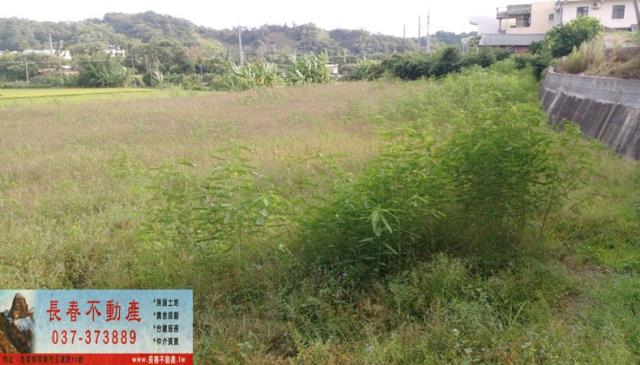 頭份農地-1