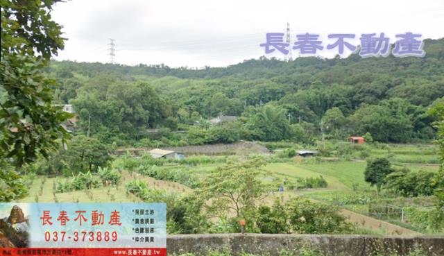 三義林地-1