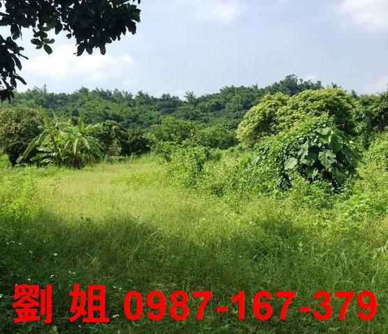 內門農地-1