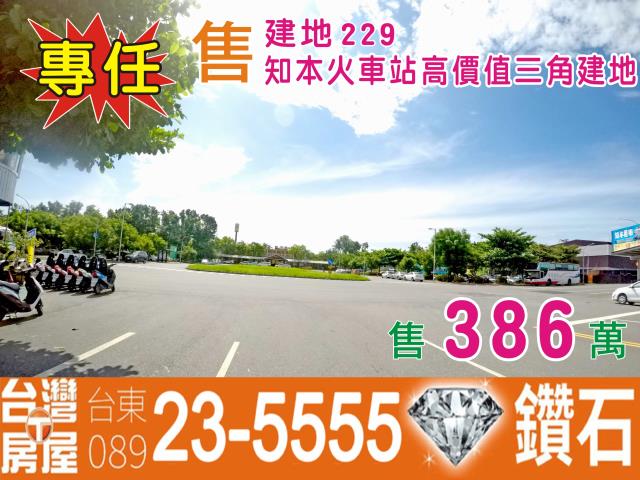 台東建地-1